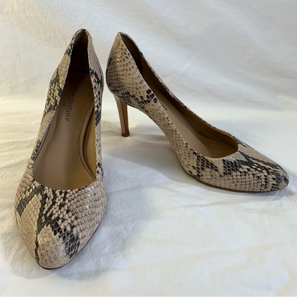 Antonio Melani Paton snake reptile python print leather pump heels 9.5 neutral - Picture 1 of 16